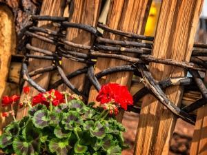 Walderhof Natz Farm stay *