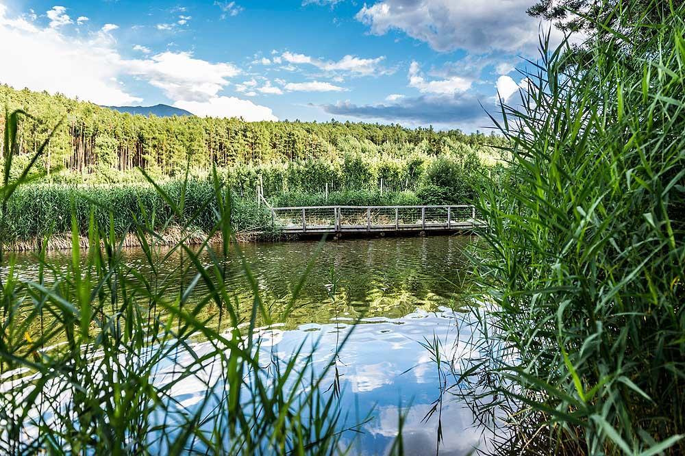 Walderhof *
